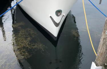 Barrel Sauna Luxury Walk to Northern Haus - Foto 39