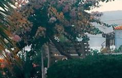 "Patra's" Apartments Patra - Foto 22