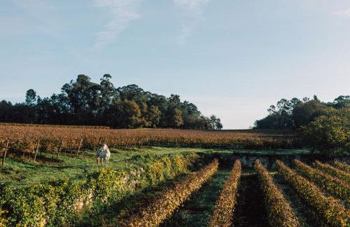 Wine Tourism - Quinta do Ameal - Foto 42
