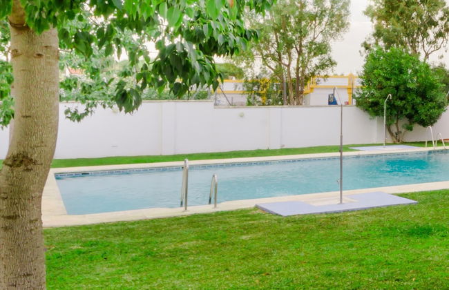 Rotonda V 21908 in Conil de la Frontera - Photo 10