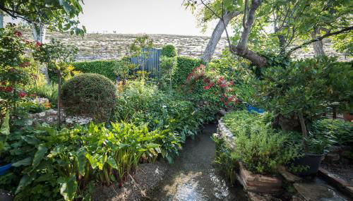 Al Agia - Los Molinos de Padul - Foto 3, Garden