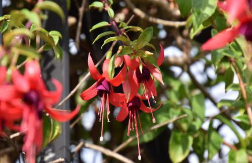 Cozy Cottage with Pool & Terrace - Foto 38