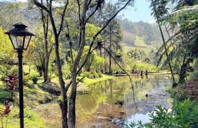 Friburgo Lagos p Pesca,Banho,Sauna,Campinho - Foto 79