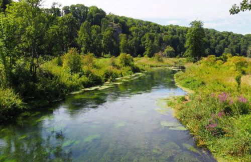 Ferienwohnung Pension Waldblick - Foto 52