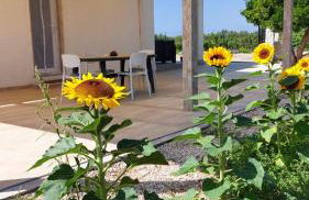 Villetta della Pace nel cuore del Salento - Foto 28