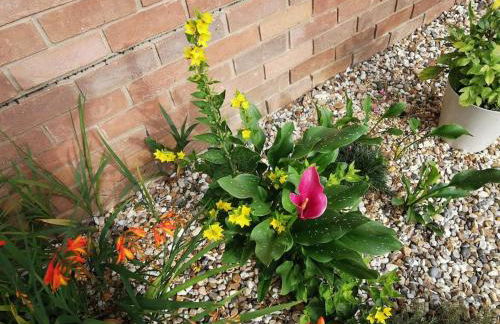 The Woodpeckers - Alresford Essex - Foto 36