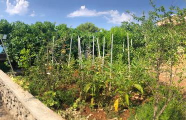 Villa Mimy - Foto 31