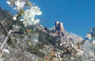 Casa La Oliva - Foto 31