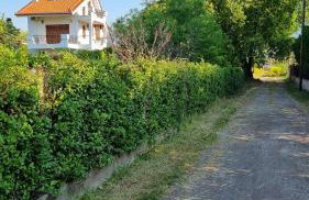 Silver Coast Cottage Raches - Foto 10