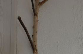 Gîte Mémoire de cœur sans draps ni serviettes - Foto 29