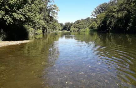 Le Phoenix 30 m2 - lumineux et bien agencé - Foto 17