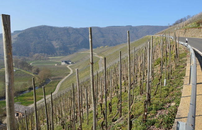 Cozy Apartment in Neumagen-Dhron near Lake Mosel with Garden - Photo 28