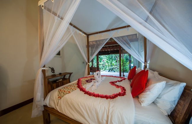 Infinity Jungle View Aashaya Villa Ubud - Photo 3