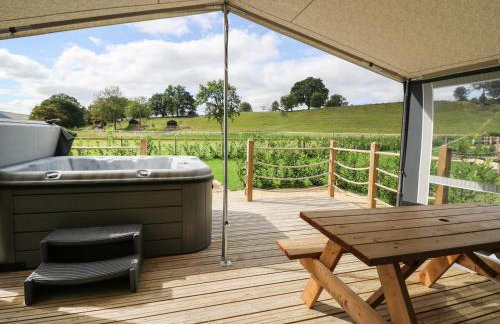 The Kingfisher - Foto 13