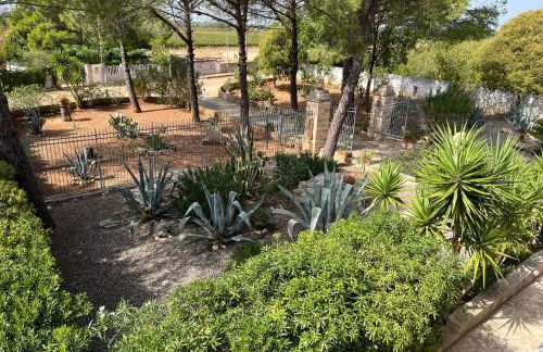 Masseria La Camardia - Foto 137