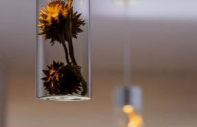 Harz Huus Apartments "Linde" - Foto 24