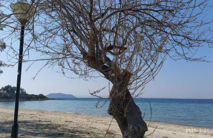 Maisonette In Paradisos 1 - Foto 20