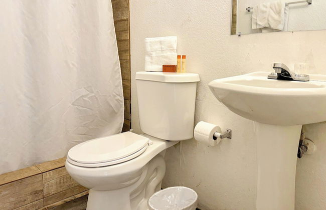 Gladiolas 1207 - Foto 9