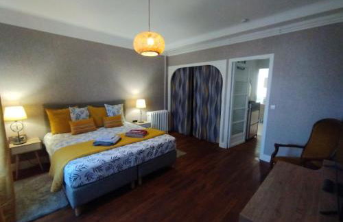 Toul superbe appartement plein centre - Foto 10