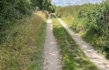 The Workshop - Foto 20