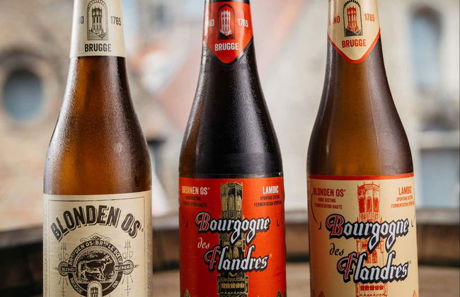 Entrada a la fábrica de cerveza Bourgogne des Flandres - Foto 6