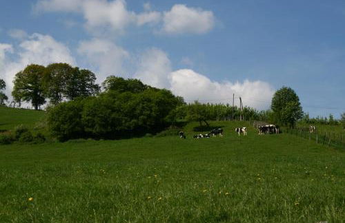 Haus Berghoff - Foto 11