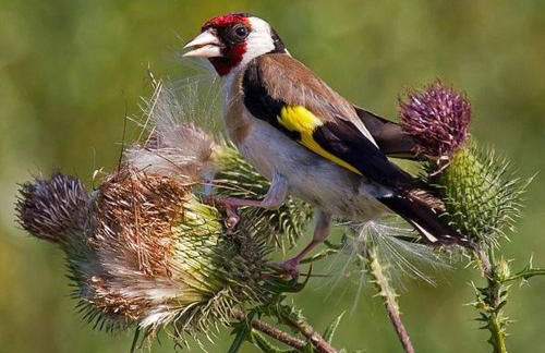 Casa Rural La Breña - Foto 94