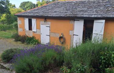 EL VIEJO MOLINO - Foto 17