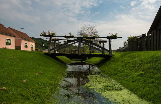 Country House Stara Kapela - Foto 43