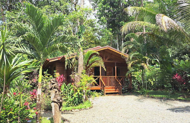 Cabinas Costa Tropicana - Foto 11