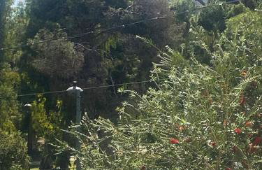 Agora Apt1, Metro Station, 1 bdrm - Foto 49