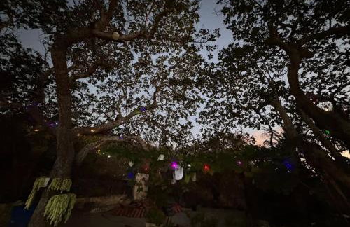 Lugar para descansar com a familia - Foto 22