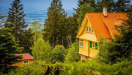 Sonnenhäusle - Natur. Fernblick. Panorama-Sauna. - Foto 3, Garden