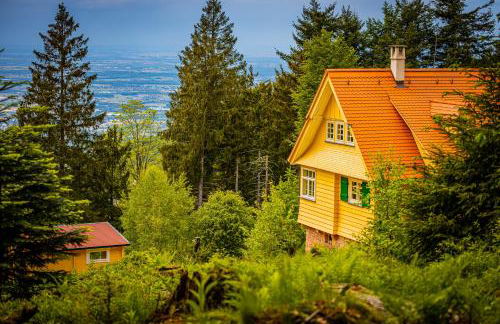 Sonnenhäusle - Natur. Fernblick. Panorama-Sauna. - Foto 3