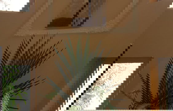 Résidence hôtelière LA ROSELINE - Foto 40