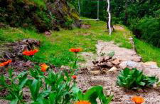 Mira Pombeira - Foto 24