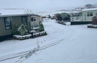 19 Forest Views - Foto 30