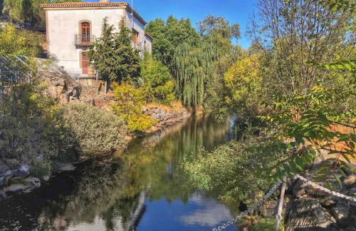 La Higuerilla - Photo 46