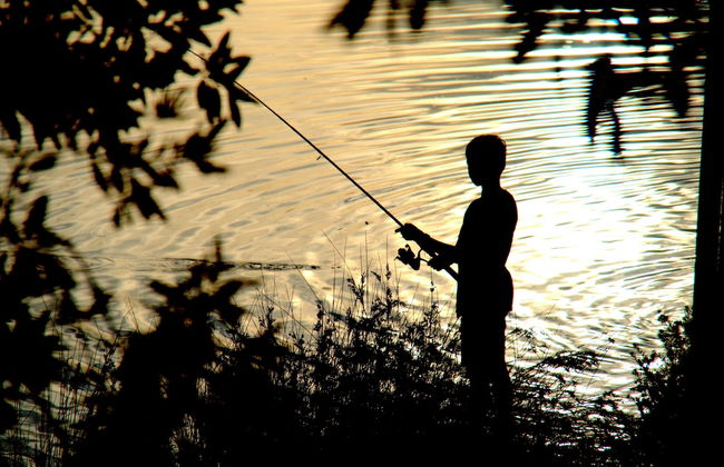 Wooli River Lodges - Foto 1