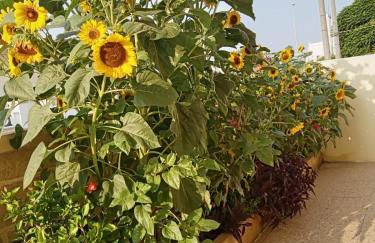 Casa vacanza Tiziana - Foto 4