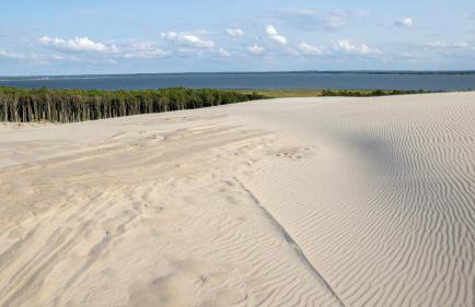 Freiraum Wytowno - Foto 31