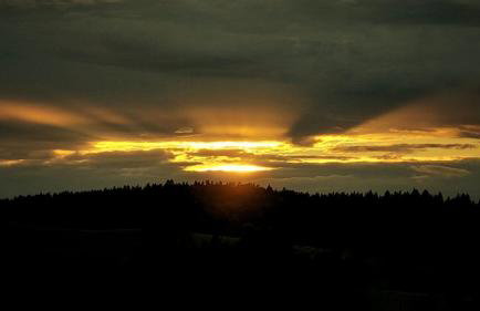 Zagroda Wataha 782 305 923 - Foto 37