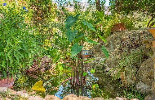 Finca Alqueria - Foto 26