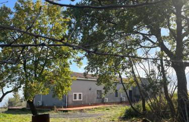 Etna 1928 Country House - Foto 10