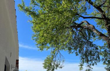 Villa Nil sea view Renovation 2023! - Foto 19