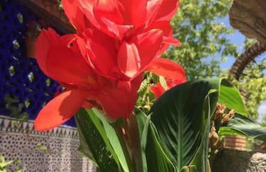 Chalet con piscina en la naturaleza - Foto 24