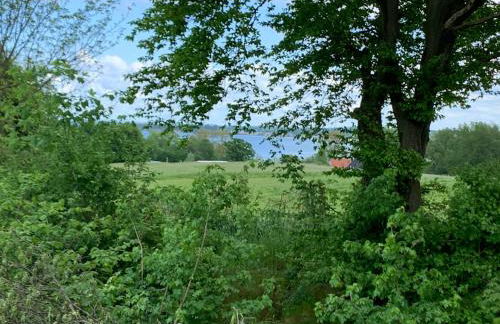 Ferienhäuser Wohlenberg - Baltic Cottages - Foto 67