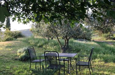 Podere Pruneto - Foto 16