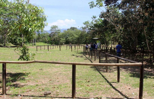 Excursão ao Sítio Arqueológico Finca 6 - Foto 8