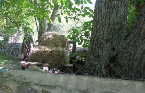 Las Tejeruelas Casa Rural - Foto 54